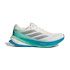 9953 - CHALK WHITE/SILVER METALLIC/GLORY GREEN 