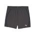 6610 - DUSKY GRAY-PUMA BLACK 