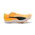 1102 - SUN STREAM/PUMA BLACK