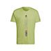 6207 - PULSE LIME