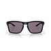 6788 - POLISHED BLACK / PRIZM GRAY